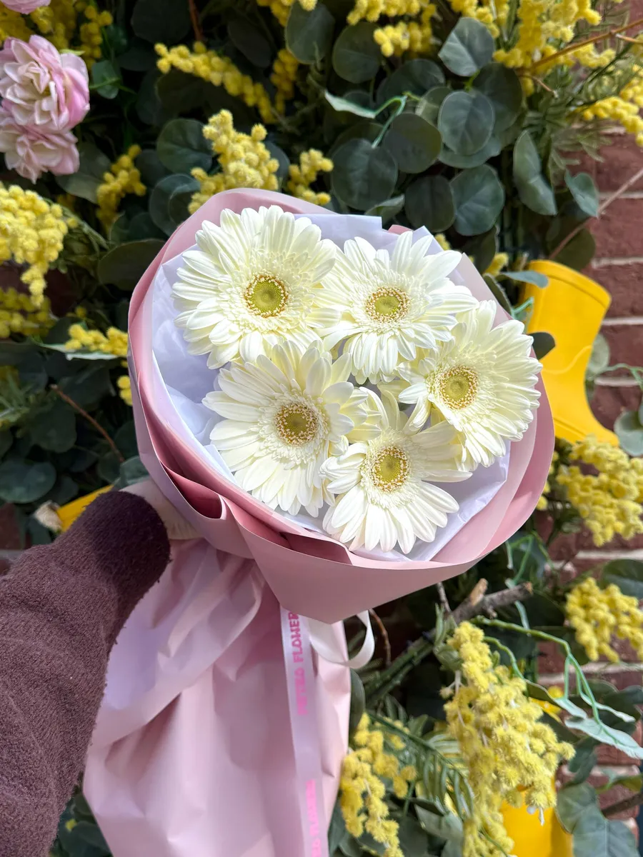 Букет «Утренний шалфей» — белые герберы с эвкалиптом, Pietro Flowers